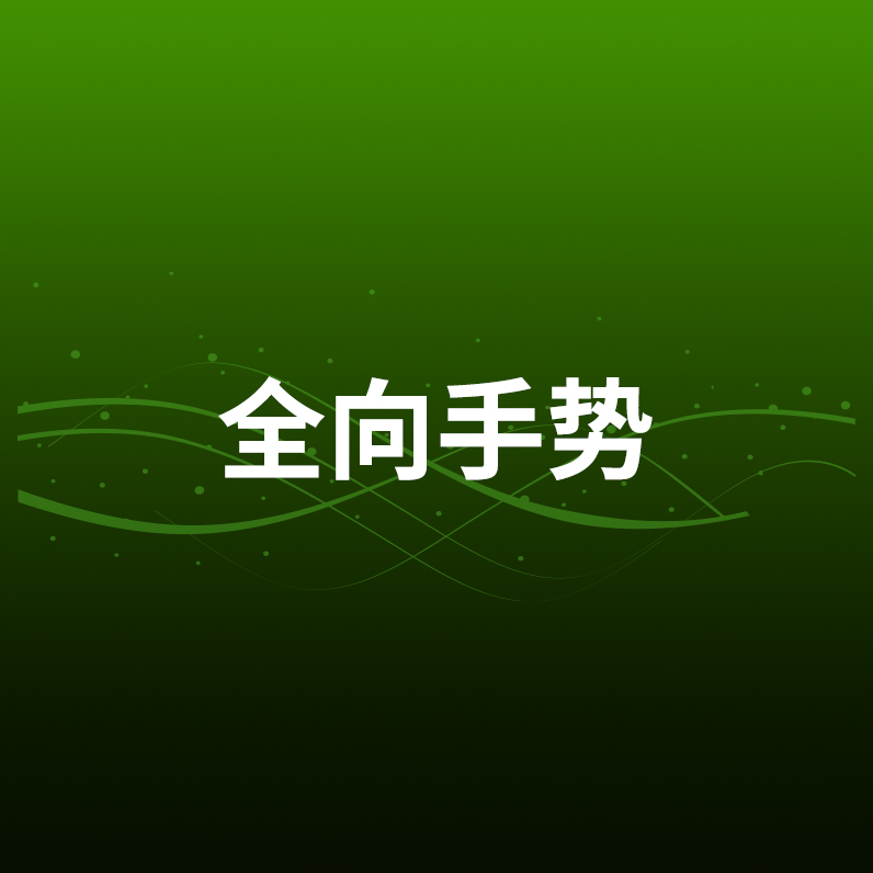 全向手势